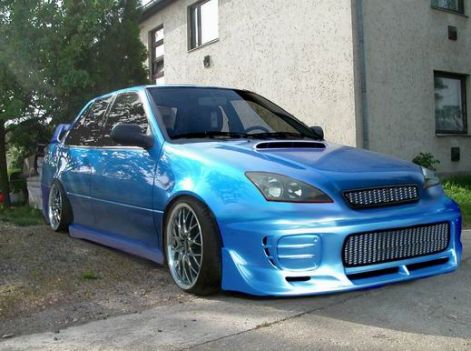 csini-suzuki.jpg